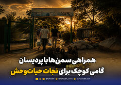 همراهی سمن‌ها با پردیسان